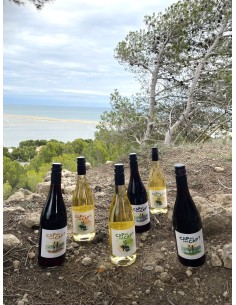 "Cap ou pas Cap ?", Vin de... 2